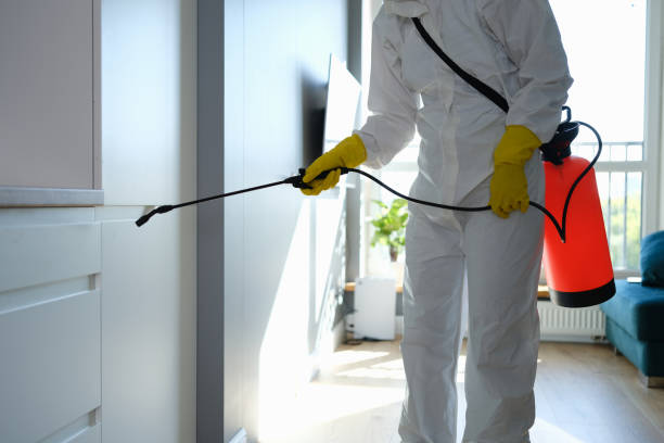 Best Professional Mold Removal  in Hubbard, OH